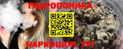 стафф Краснодар
