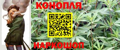 стафф Краснодар