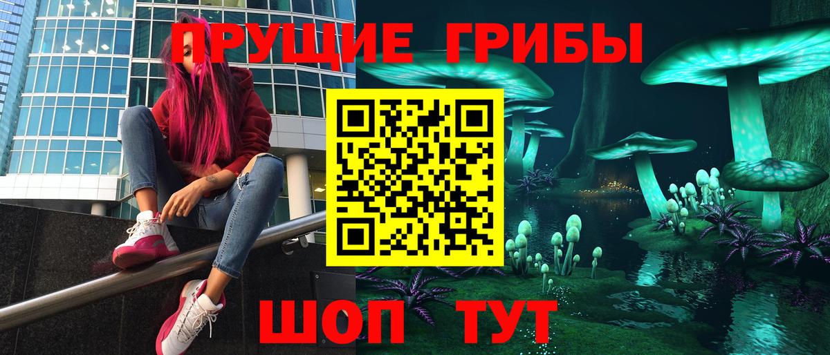 Галлюциногенные грибы Psilocybe  Галлюциногенные грибы Psilocybine cubensis  Кинель  Вход с VPN 