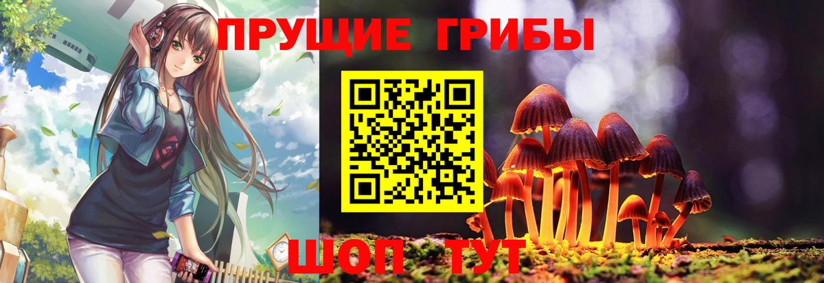 Псилоцибиновые грибы Cubensis Кинель